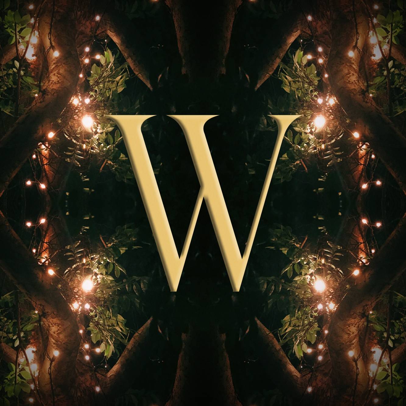 348902824_217208077839497_8020728524067436104_n